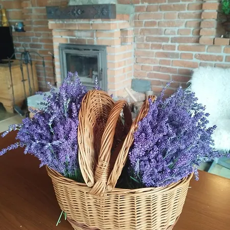 Drevenica U Holtana Apartman *