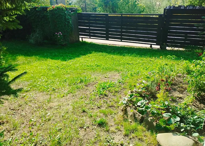 Drevenica U Holtana *